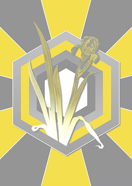 Yellow and Gray Iris Flora