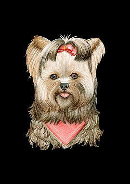 Shihtzu