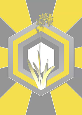 Yellow and Gray Corn Lily