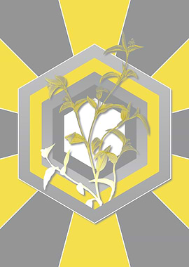 Yellow and Gray Commelina