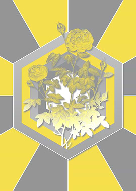 Yellow Cabbage Rose Poster