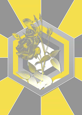 Yellow and Gray Rose Art