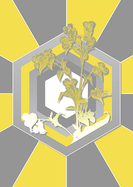 Yellow and Gray Commelina