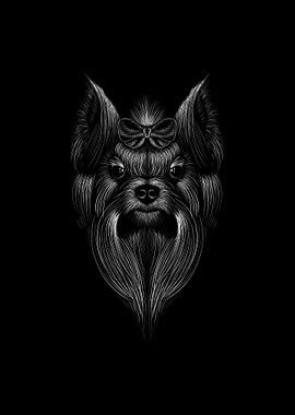 Shihtzu