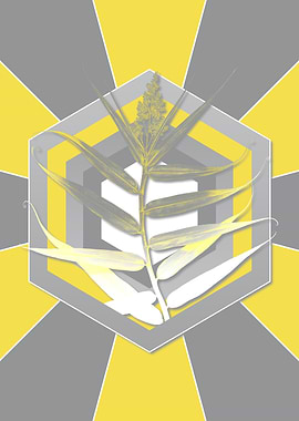 Yellow and Gray Bush Cane