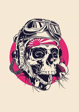 Skull Pilot