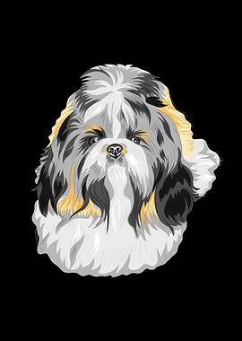 Shihtzu