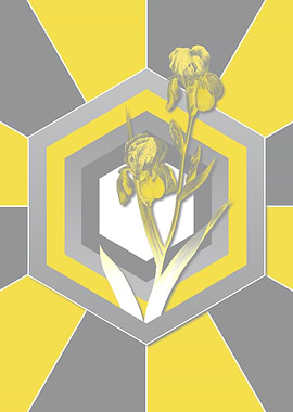 Botanical Illustration