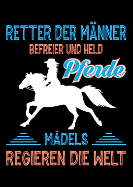 rider horse horse lover st