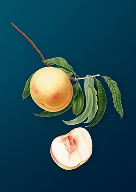 Vintage Duracina on Teal