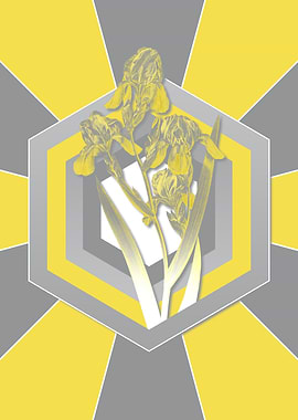 Botanical Illustration