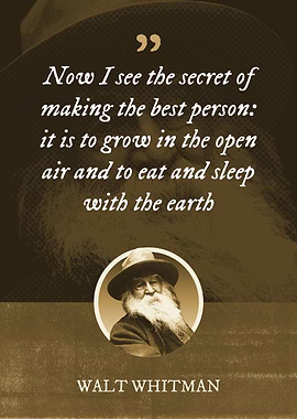 Now I see the secret of