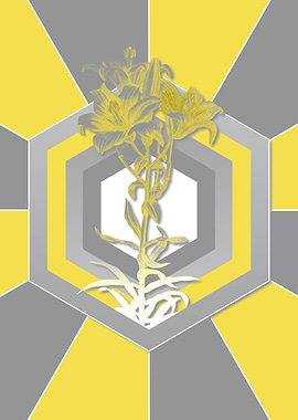 Botanical Illustration