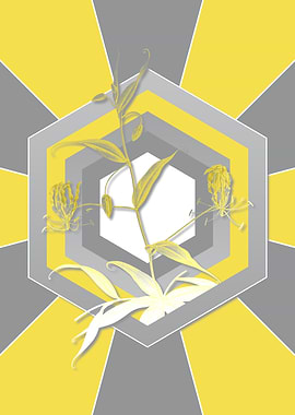 Botanical Illustration