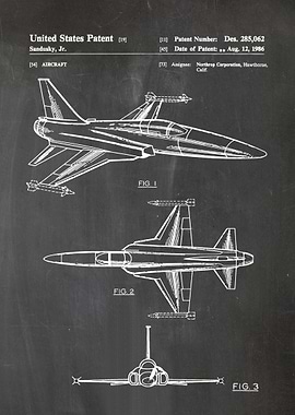 19 Northrop F20 Tigersha