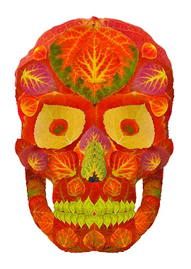 Aspen Leaf Skull 16