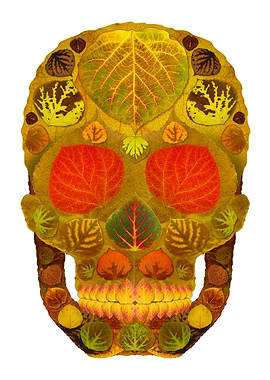 Aspen Leaf Skull 12