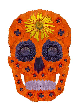 Flower Skull 1