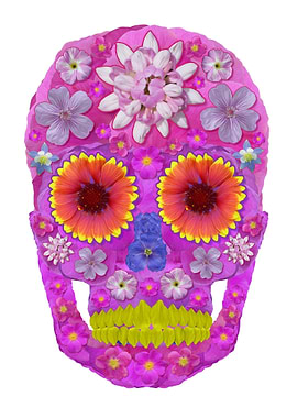 Flower Skull 2