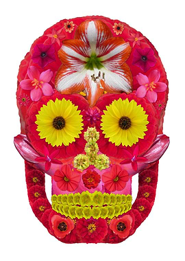 Flower Skull 6