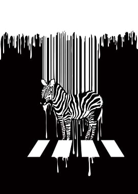Zebra Crossing