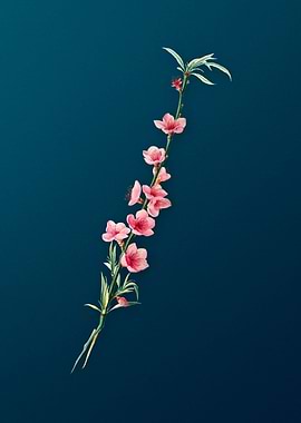 Vintage Peach Fruit Flower