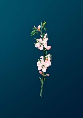 Vintage Peach Fruit Flower