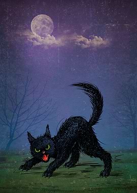 Black Wicked Kitty V1