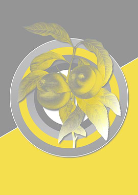 Illuminating Peach Fruit