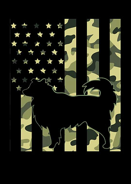 Mini Australian Shepherd