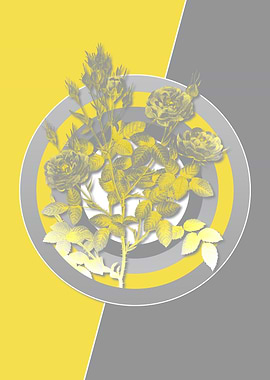 Ultimate Gray Retro Roses