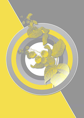 Illuminating Berries Fruit