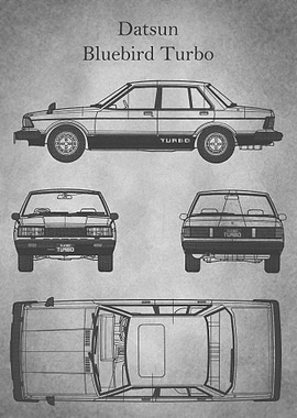 Datsun Bluebird gray old