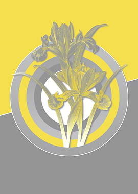 Ultimate Gray Retro Irises