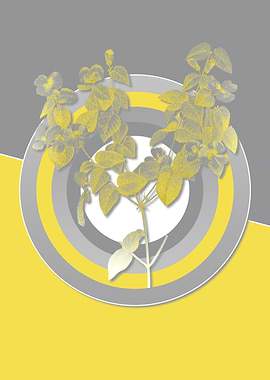 Illuminating Flower Poster