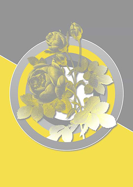 Gray and Yellow Rose Art