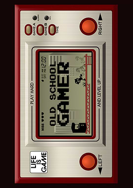 Old School Gamer
