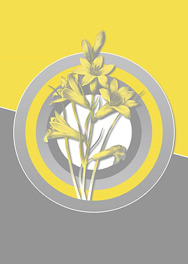 Ultimate Gray Retro Lily