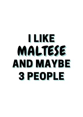 I Like Maltese And Maybe 3