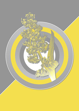 Illuminating Hyacinth Art