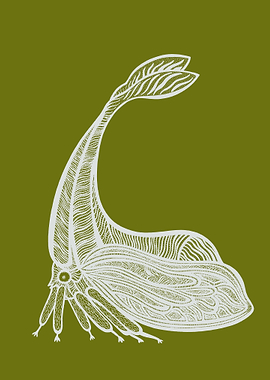 Treehopper Insect Ink Art