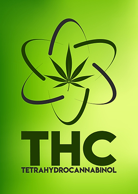 Cannabis Weed Marihuana