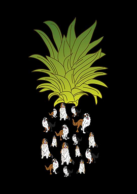 Funny Australian Shepherd