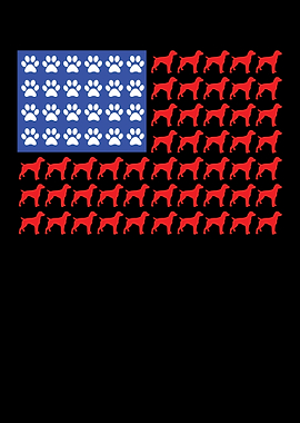 German Shorthair Pointer I