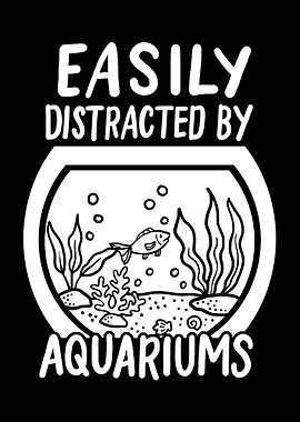 Aquariums Aquarist Fish Ke