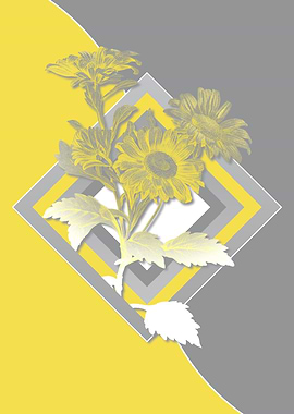 Illuminating Roses in Gray