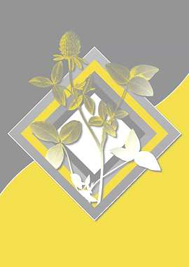 Illuminating Roses in Gray