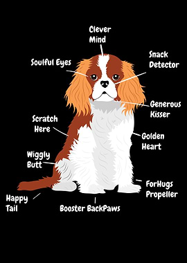 Cavalier King Charles