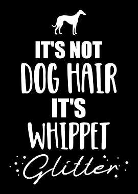 Whippet