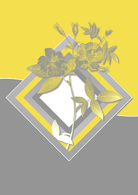 Retro Gray and Yellow Rose